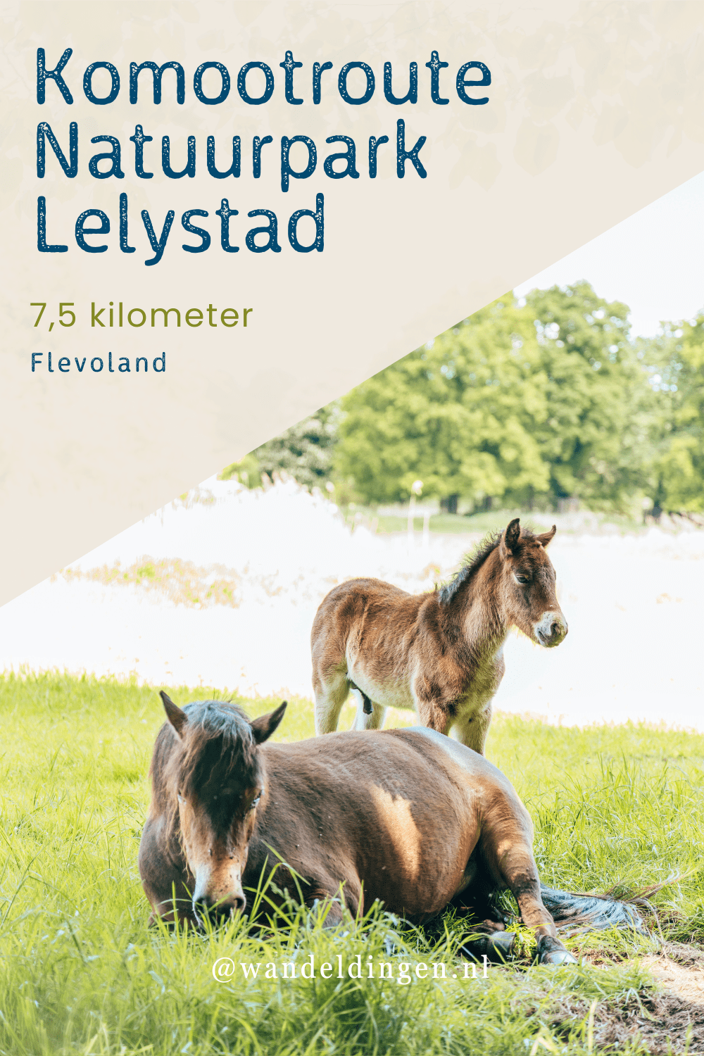 417 kienveen