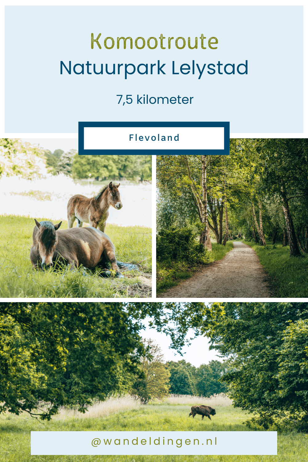 418 kienveen