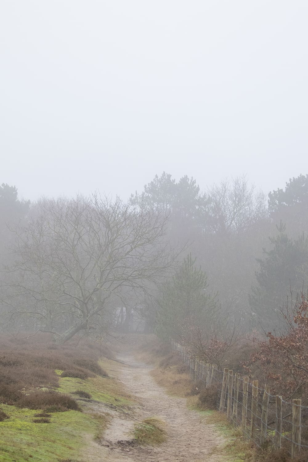 Nationaal Park Hollandse Duinen