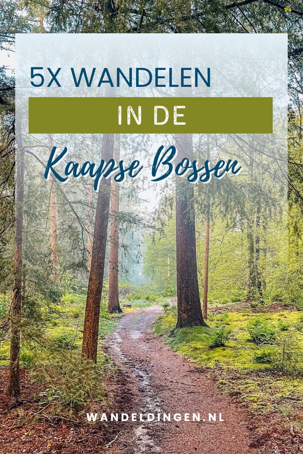 Kaapse Bossen Kaapse Bossen