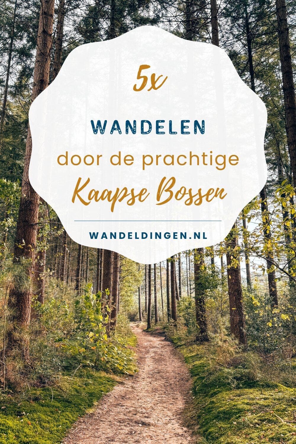 Kaapse Bossen
