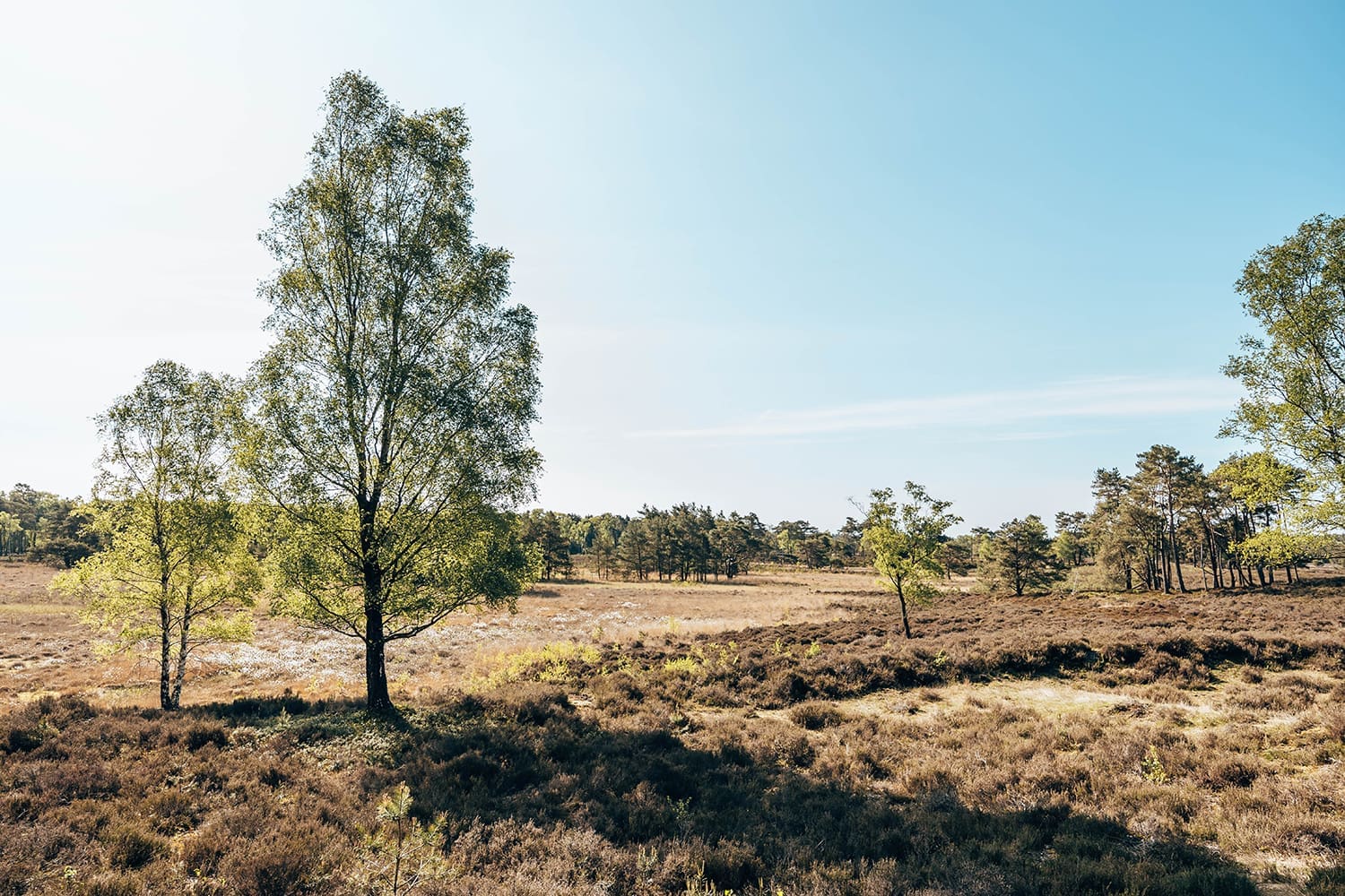 Trage Tocht Tongeren