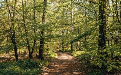 Trage Tocht Tongeren 