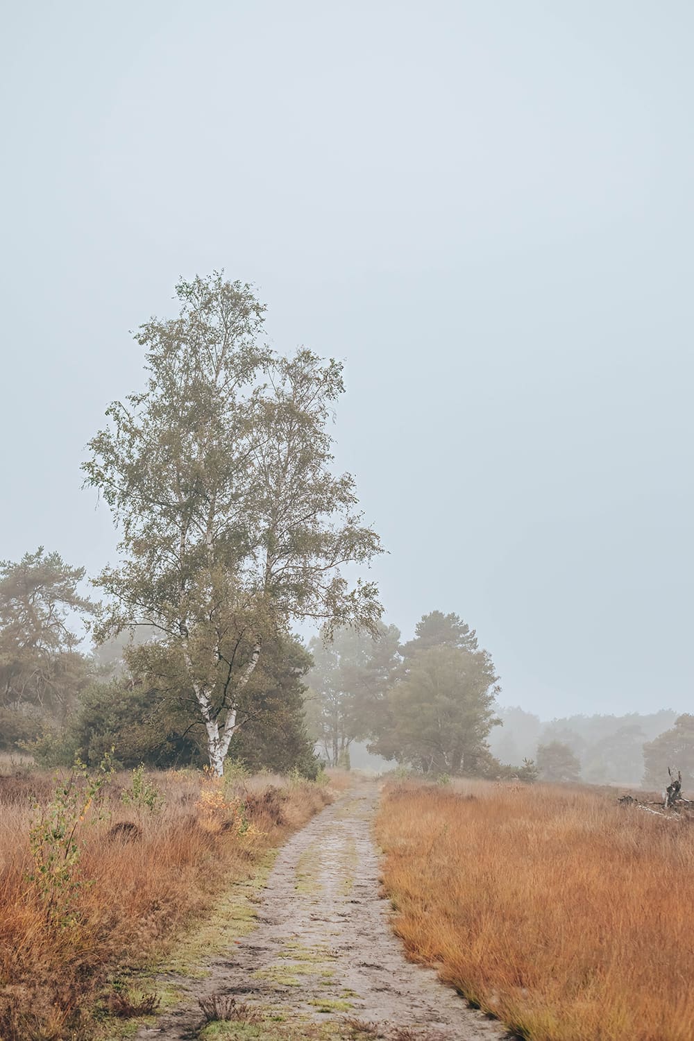 wandelen bij haaksbergen