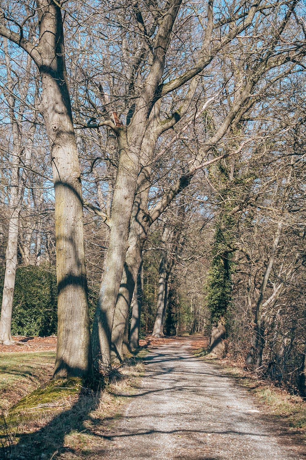 wandelen bij haaksbergen