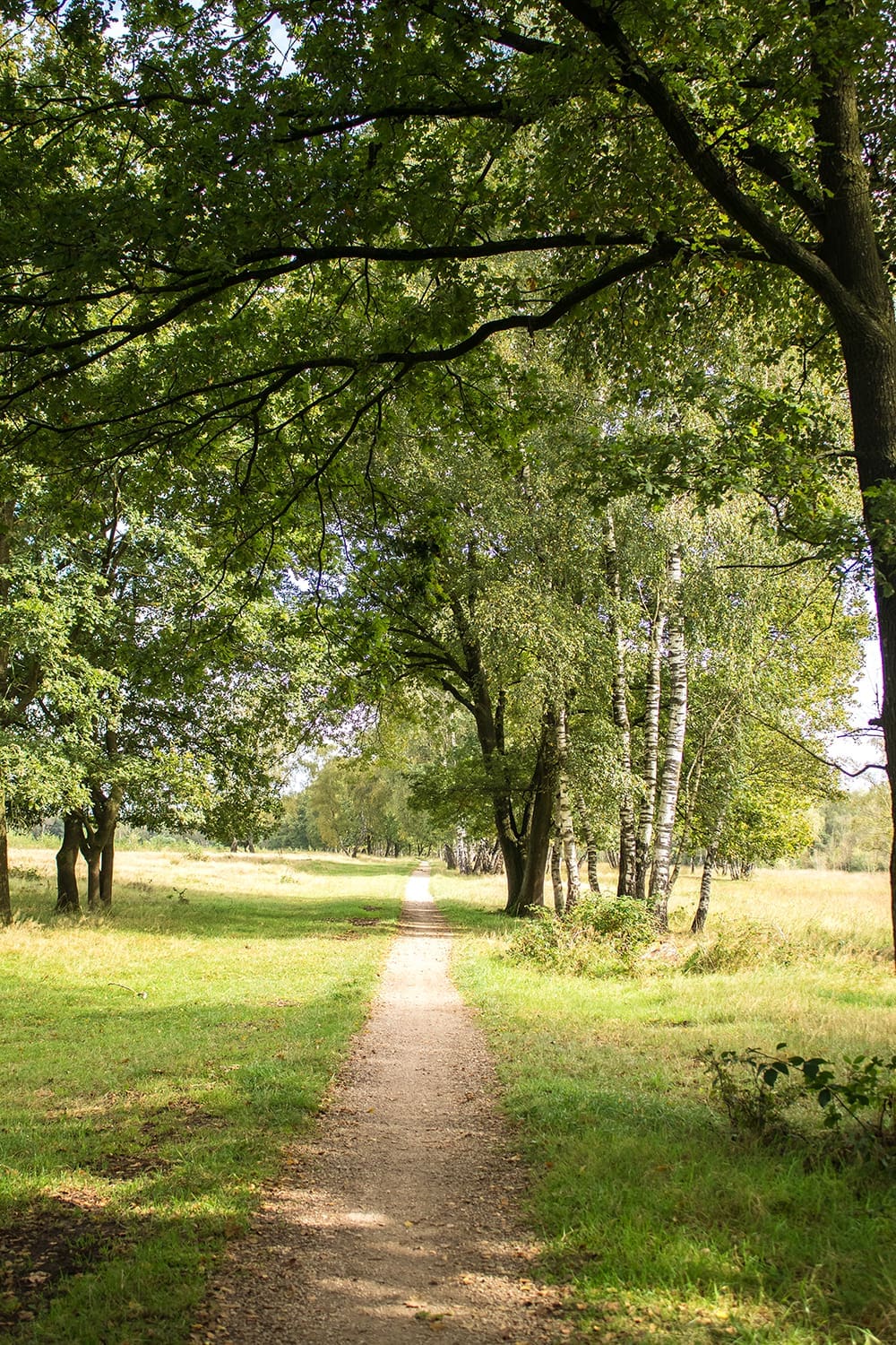 wandelen bij haaksbergen
