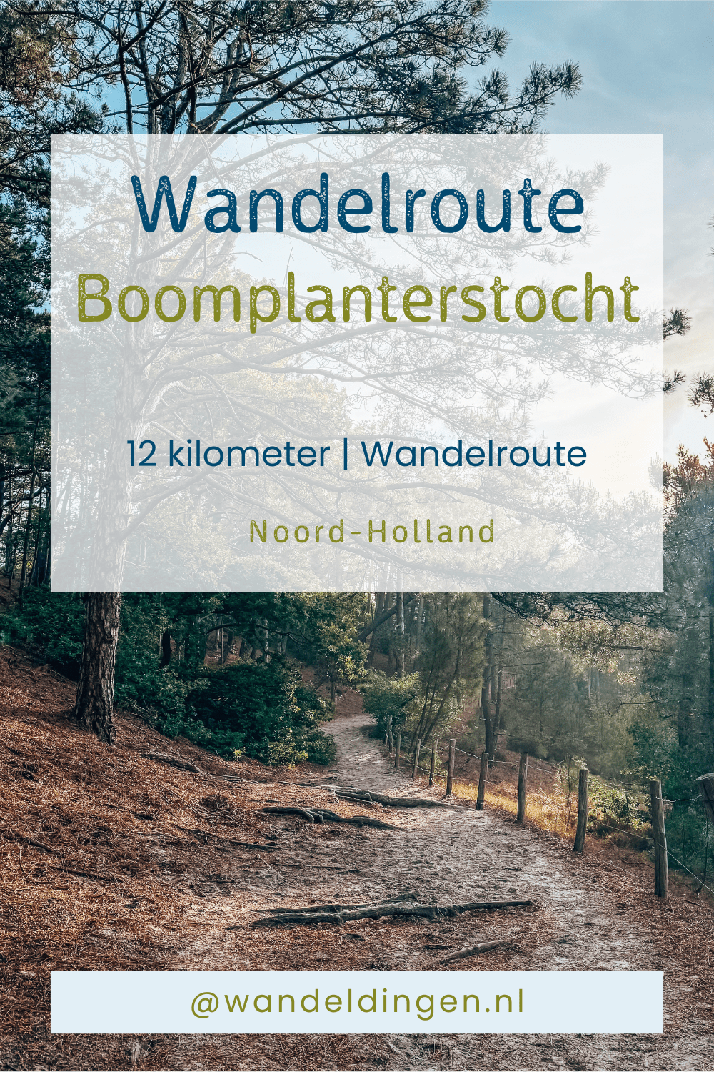 Boomplanterstocht Boomplanterstocht