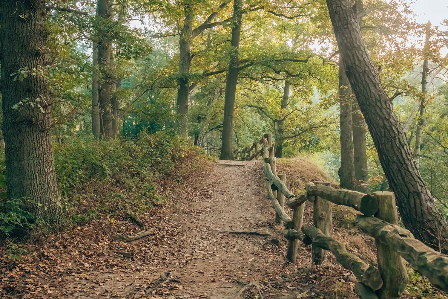 wandelroutes rondom enschede