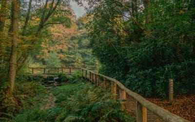 10 Wandelroutes rondom Enschede 