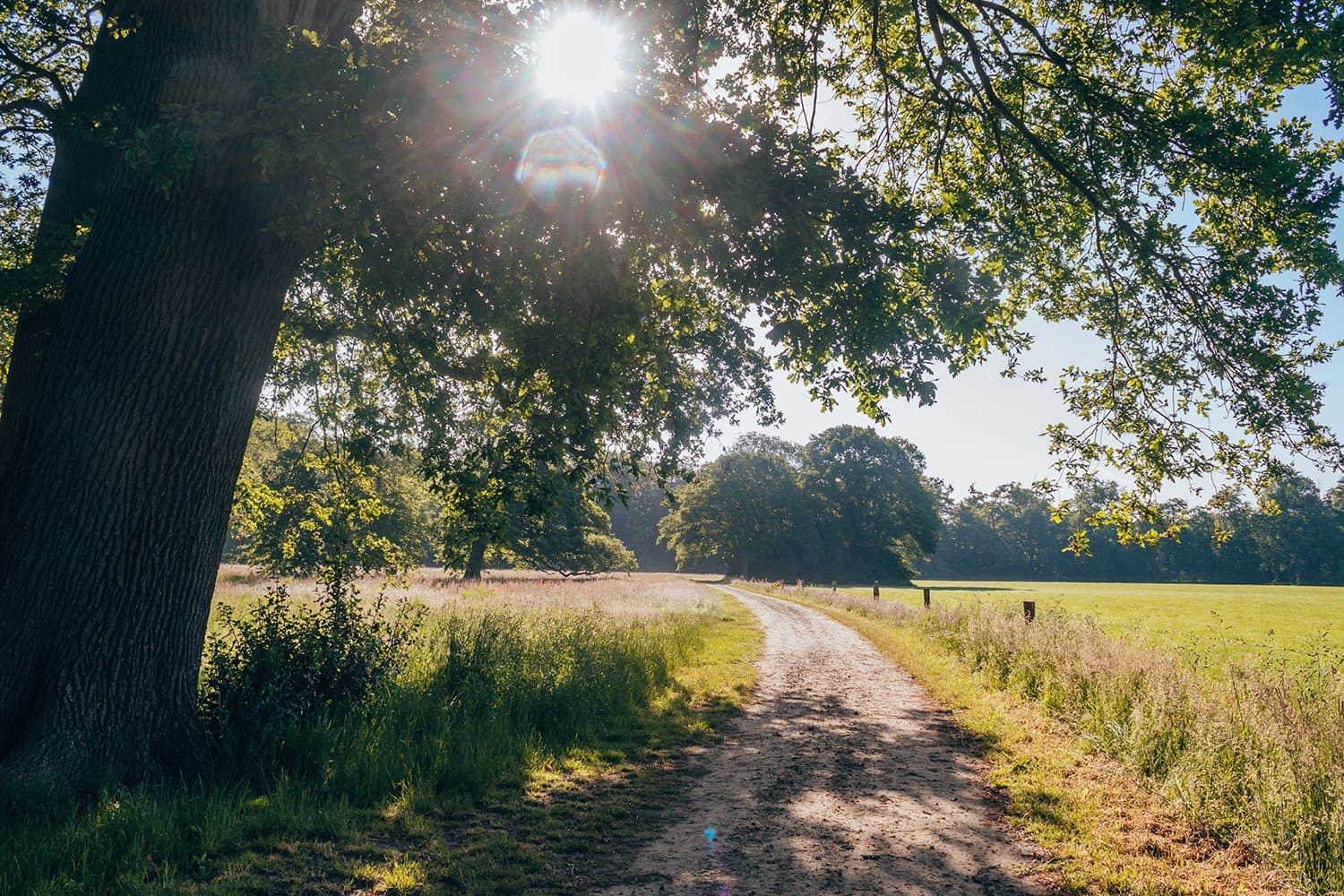 wandelroutes rondom enschede wandelroutes rondom enschede