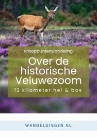 knooppuntenroute veluwezoom