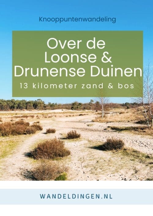 Knooppunten Loonse
