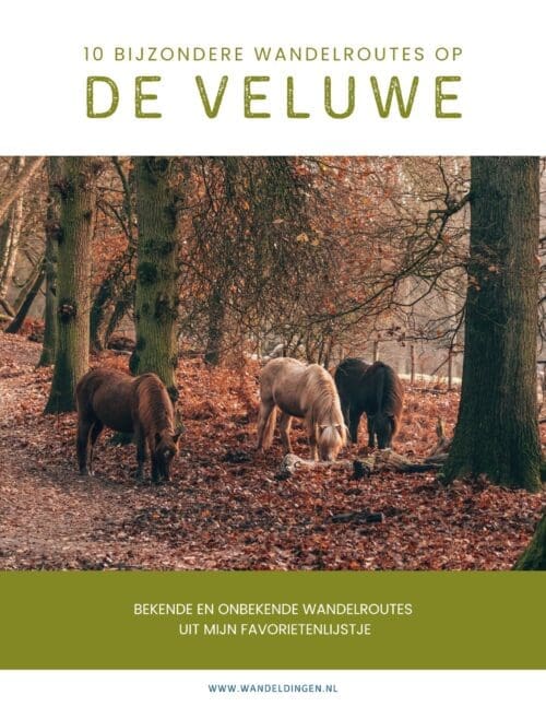 10x Veluwe