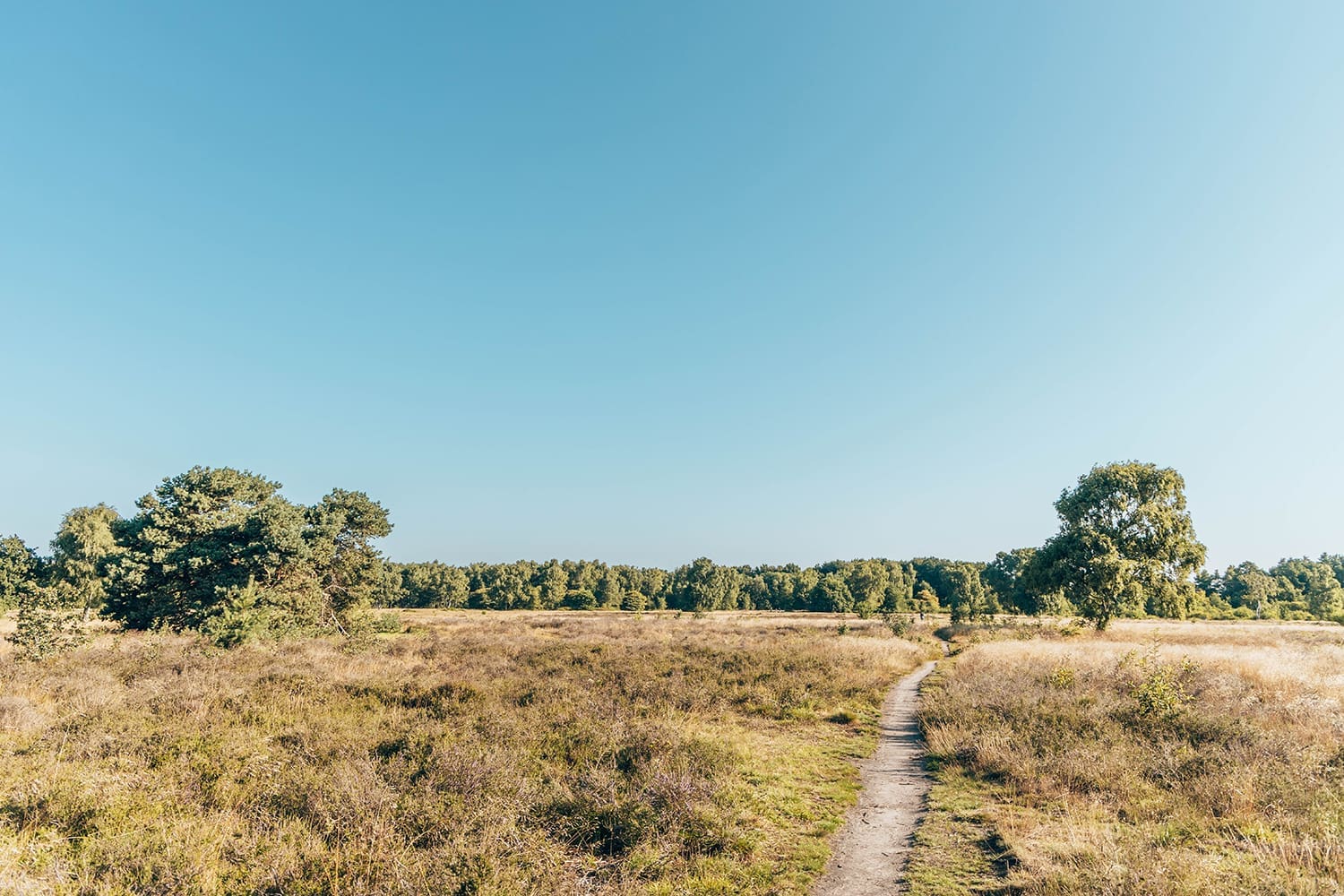 Groevenbeek