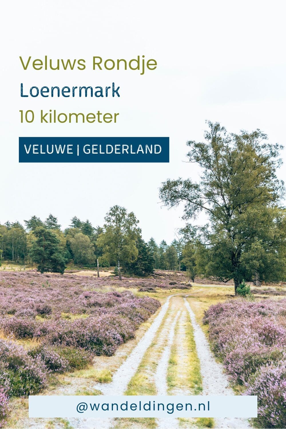 veluws rondje loenermark veluws rondje loenermark