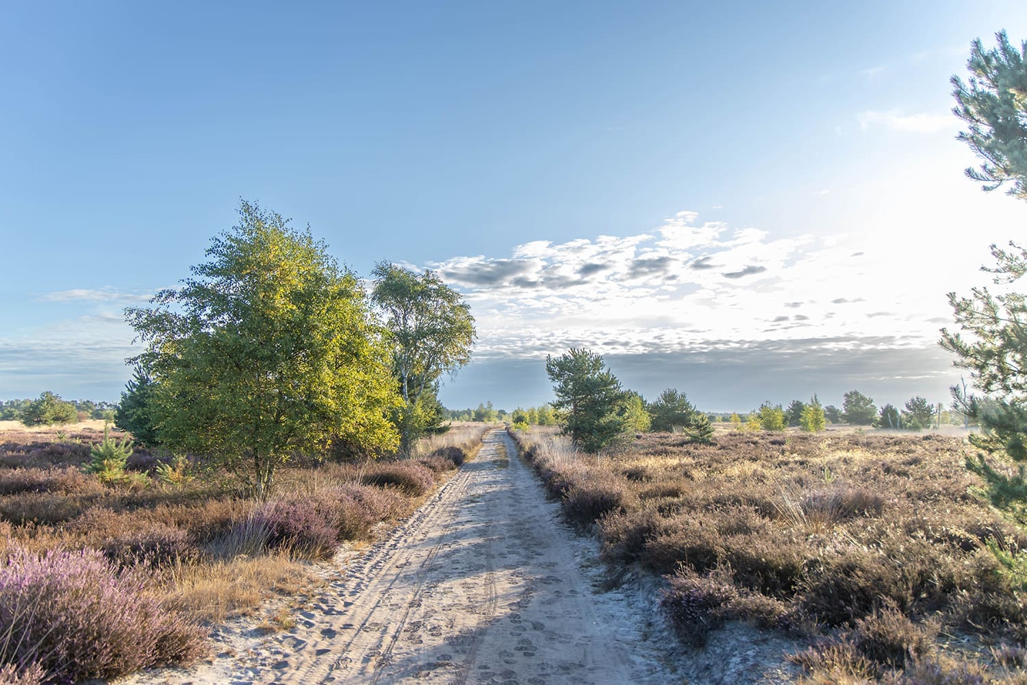 Komootroute Strabrechtseheide Komootroute Strabrechtseheide