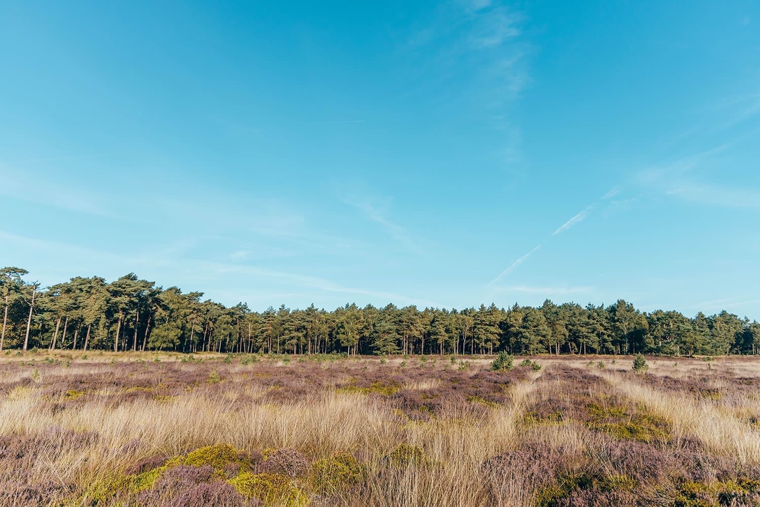 wandelroute Doldersummerveld wandelroute Doldersummerveld