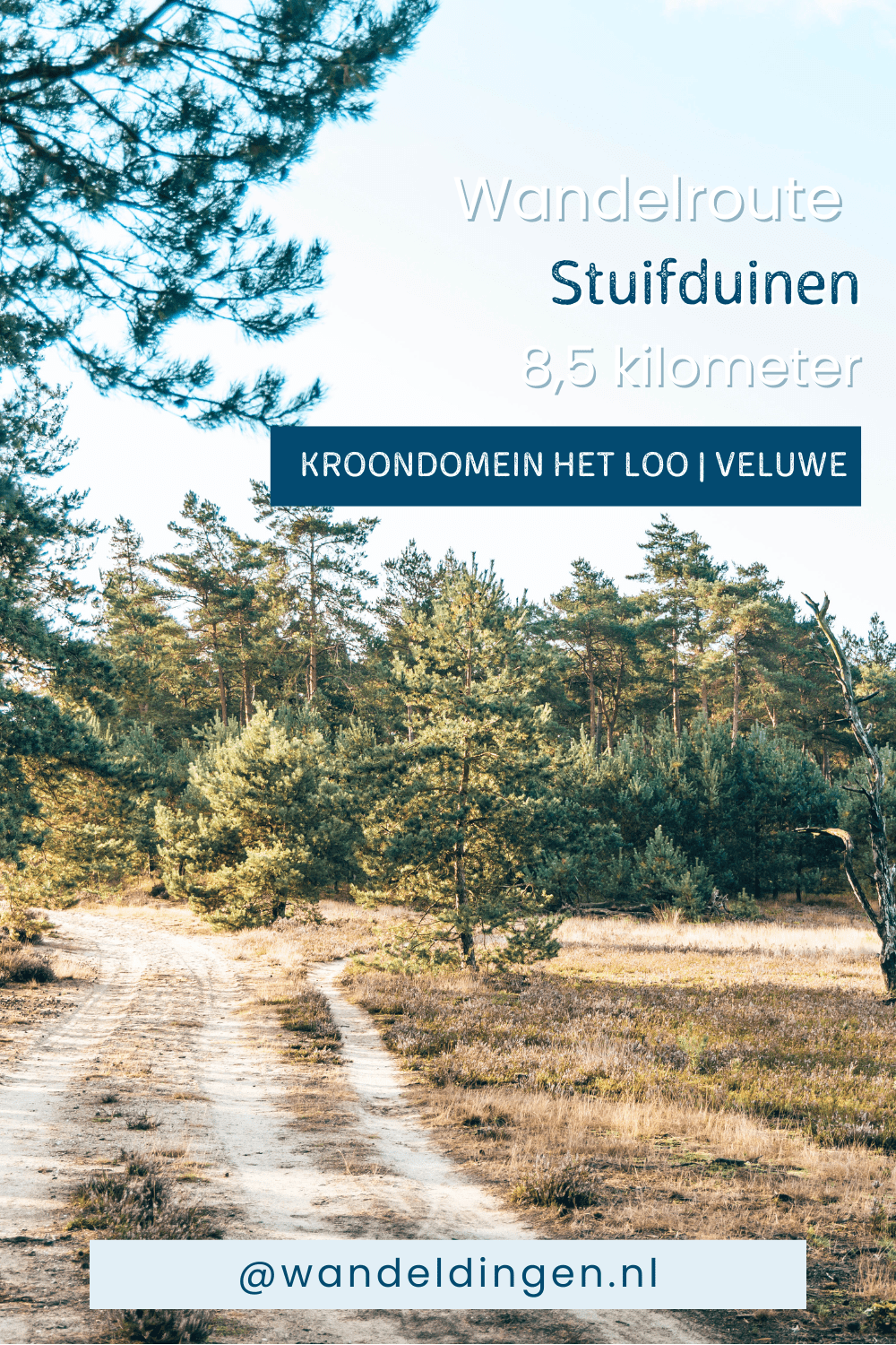 wandelroute stuifduinen wandelroute stuifduinen