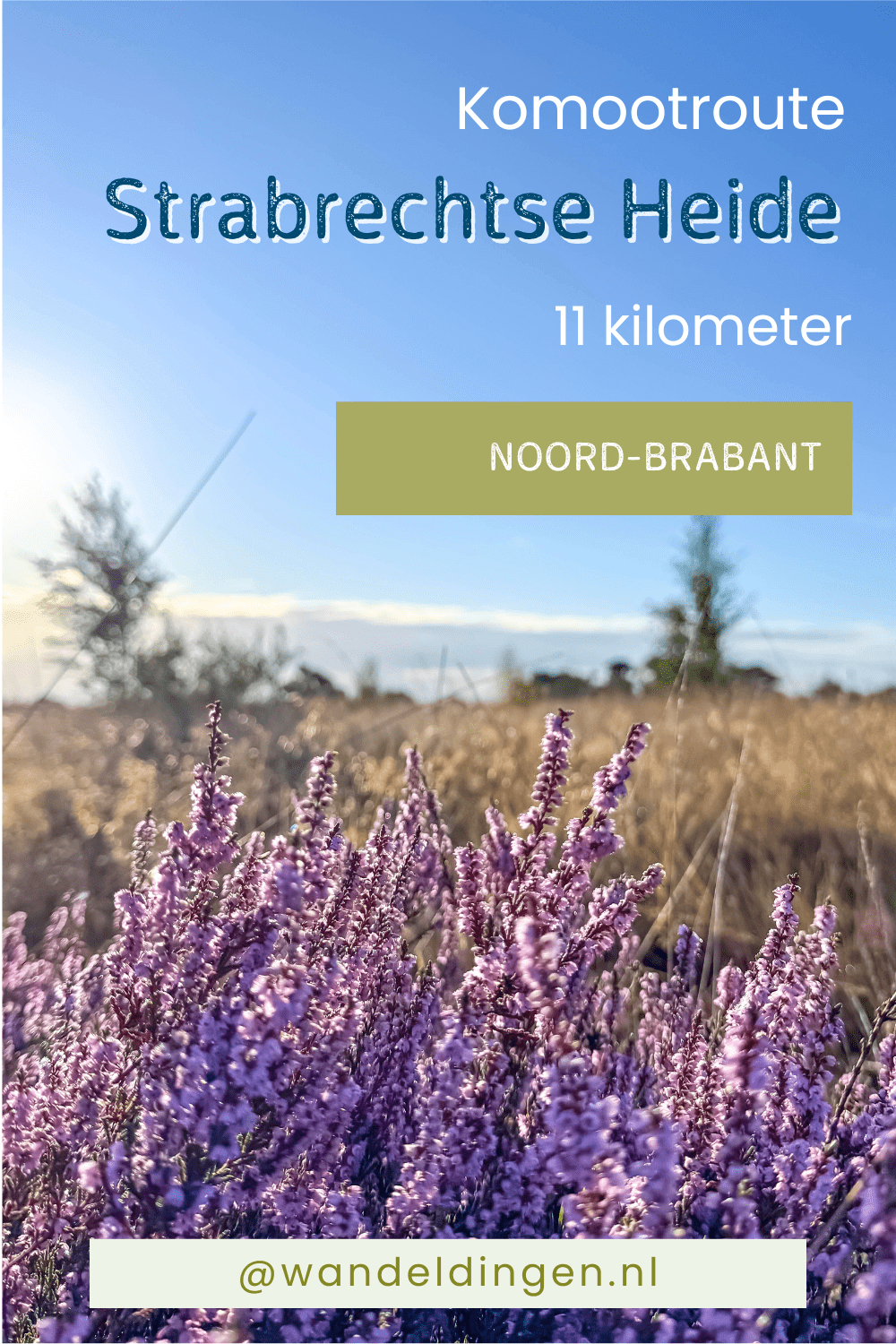 Komootroute Strabrechtseheide Komootroute Strabrechtseheide