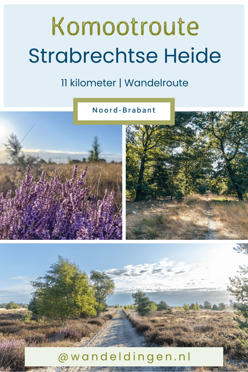 Komootroute Strabrechtseheide Komootroute Strabrechtseheide