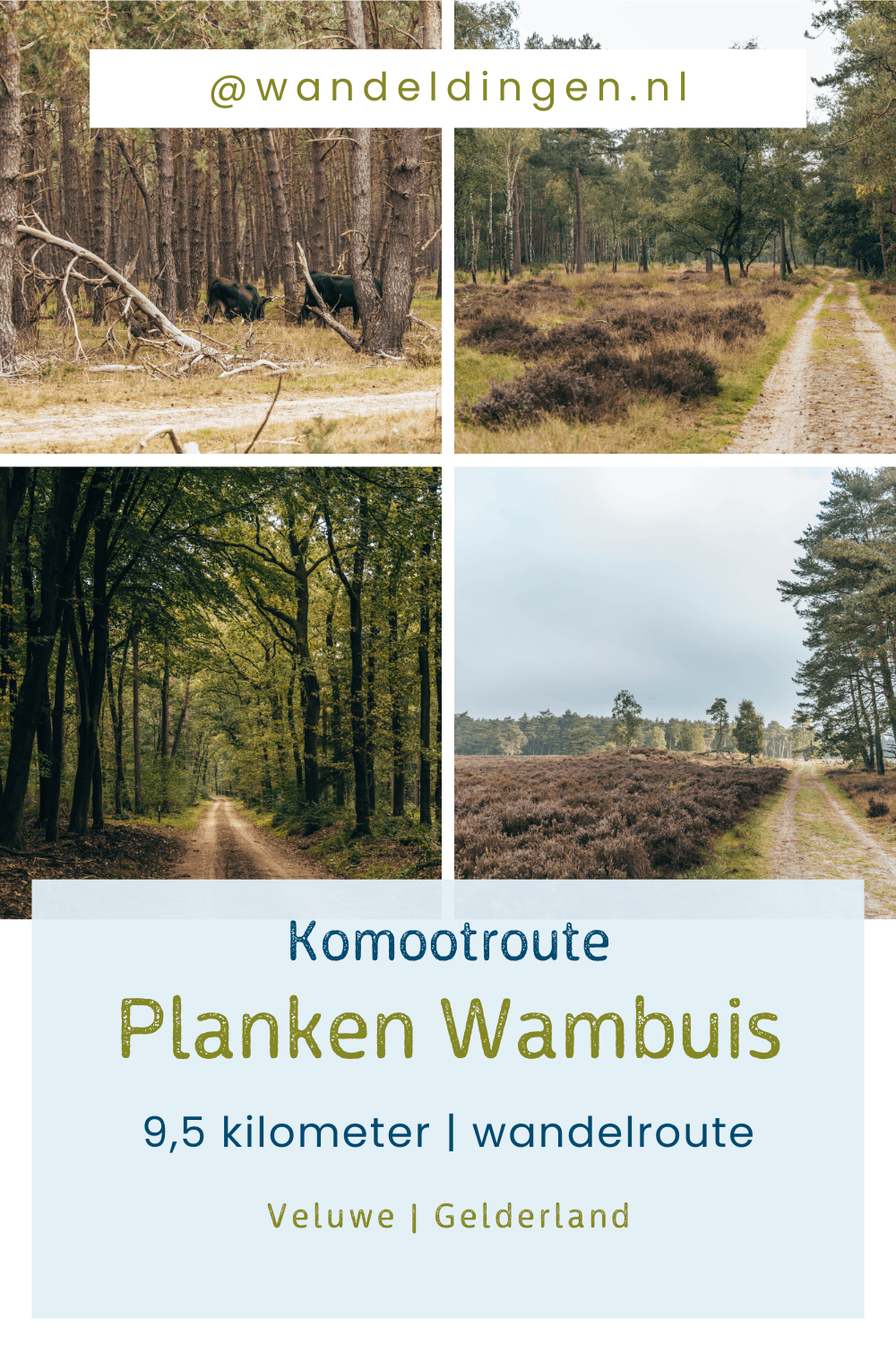 Komootroute Planken Wambuis Komootroute Planken Wambuis