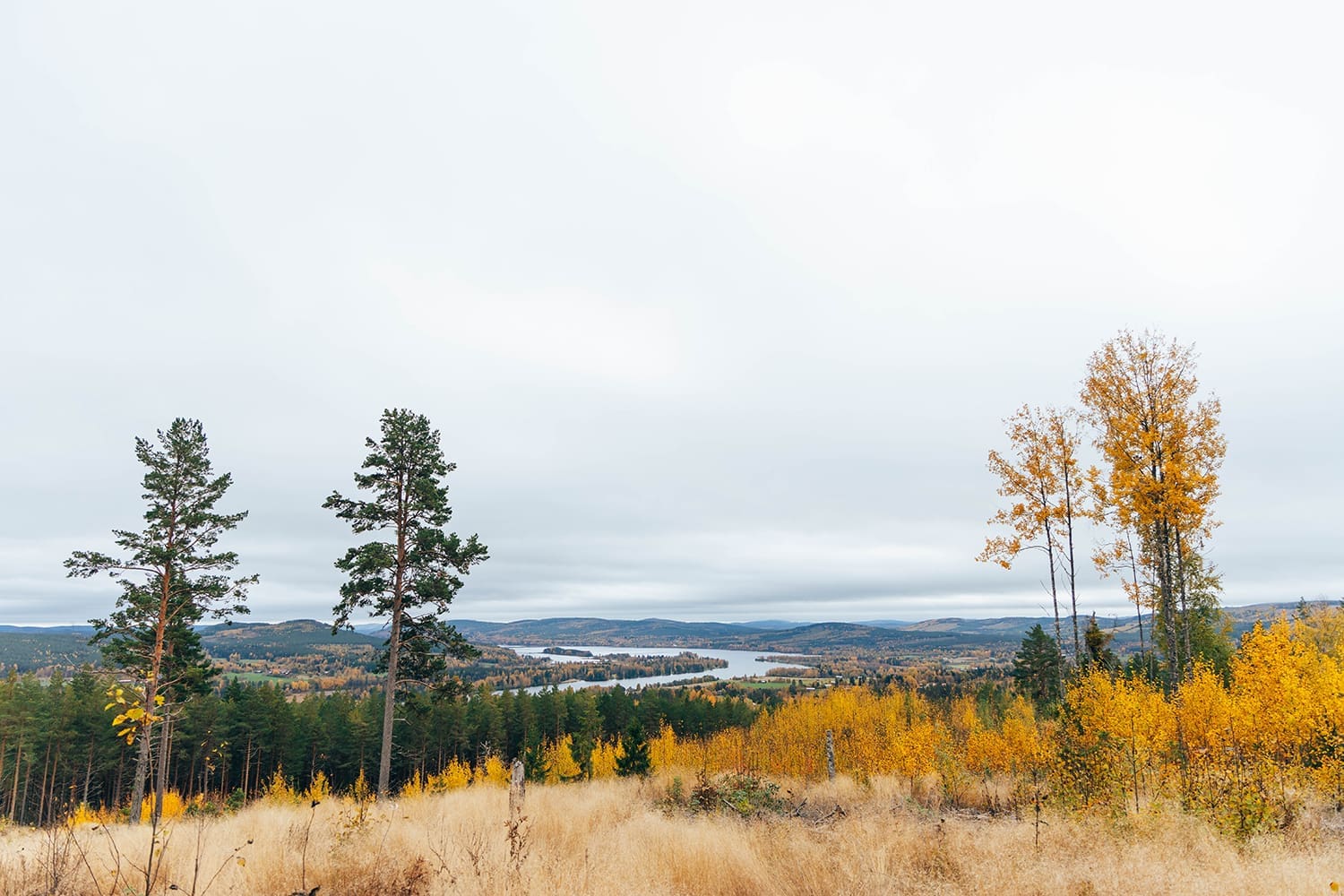 Järvsö Järvsö