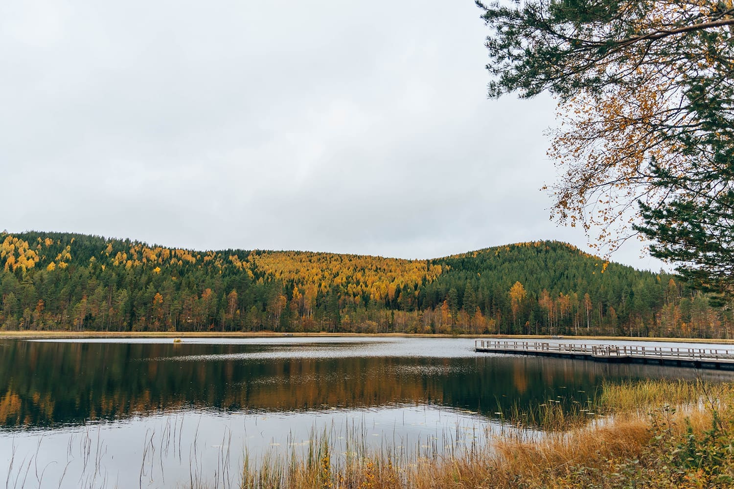 Järvsö Järvsö