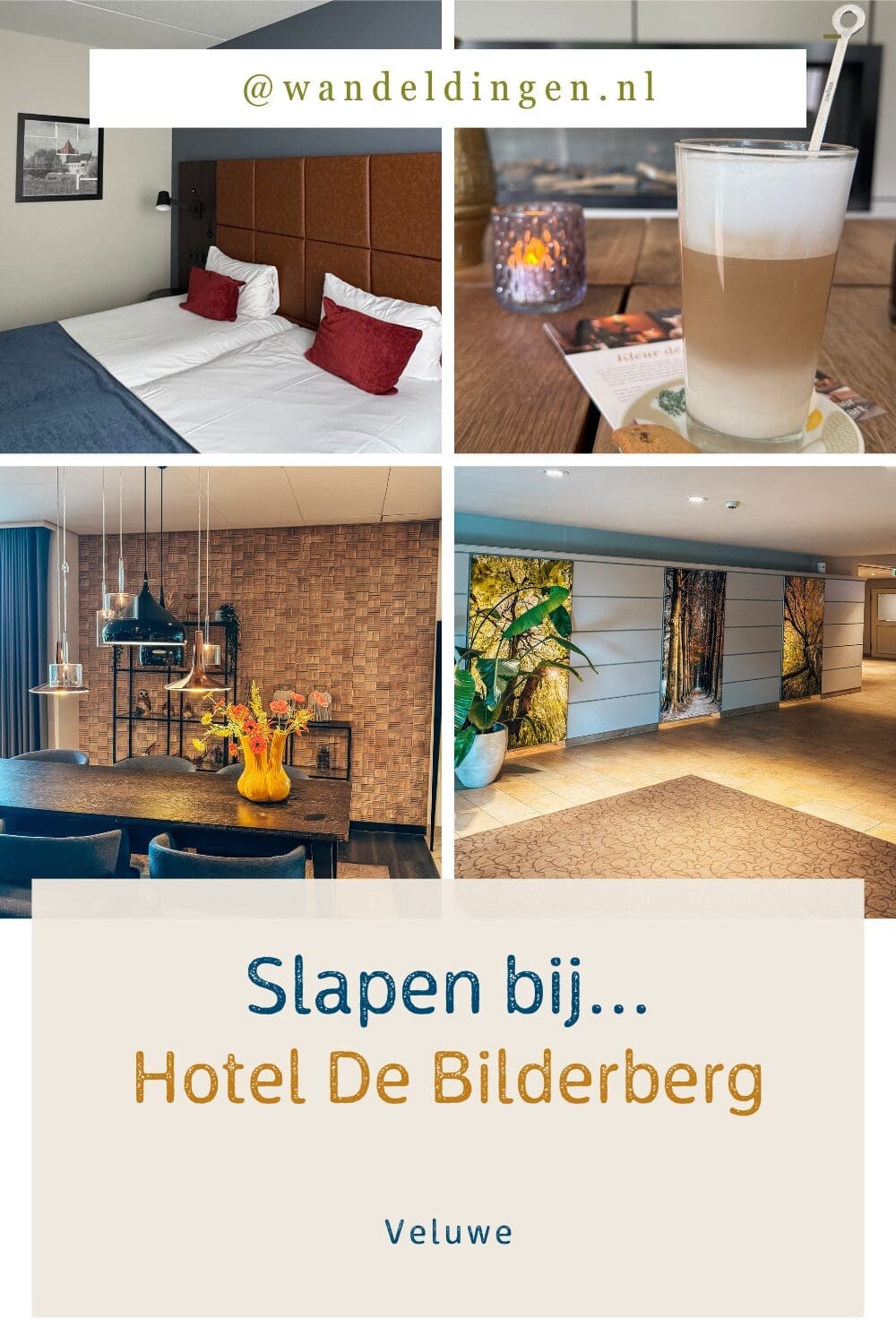 bilberberg bilberberg