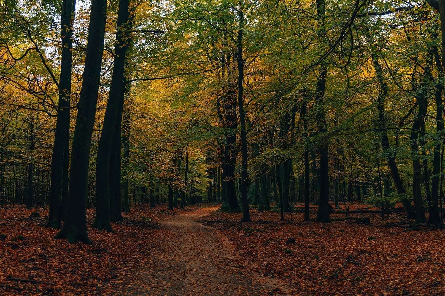 wandelroute Cultuurhistorie