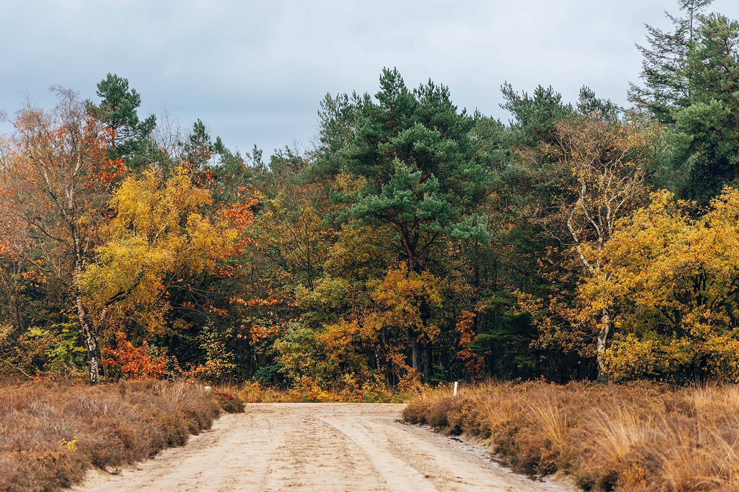 wandelroute Cultuurhistorie
