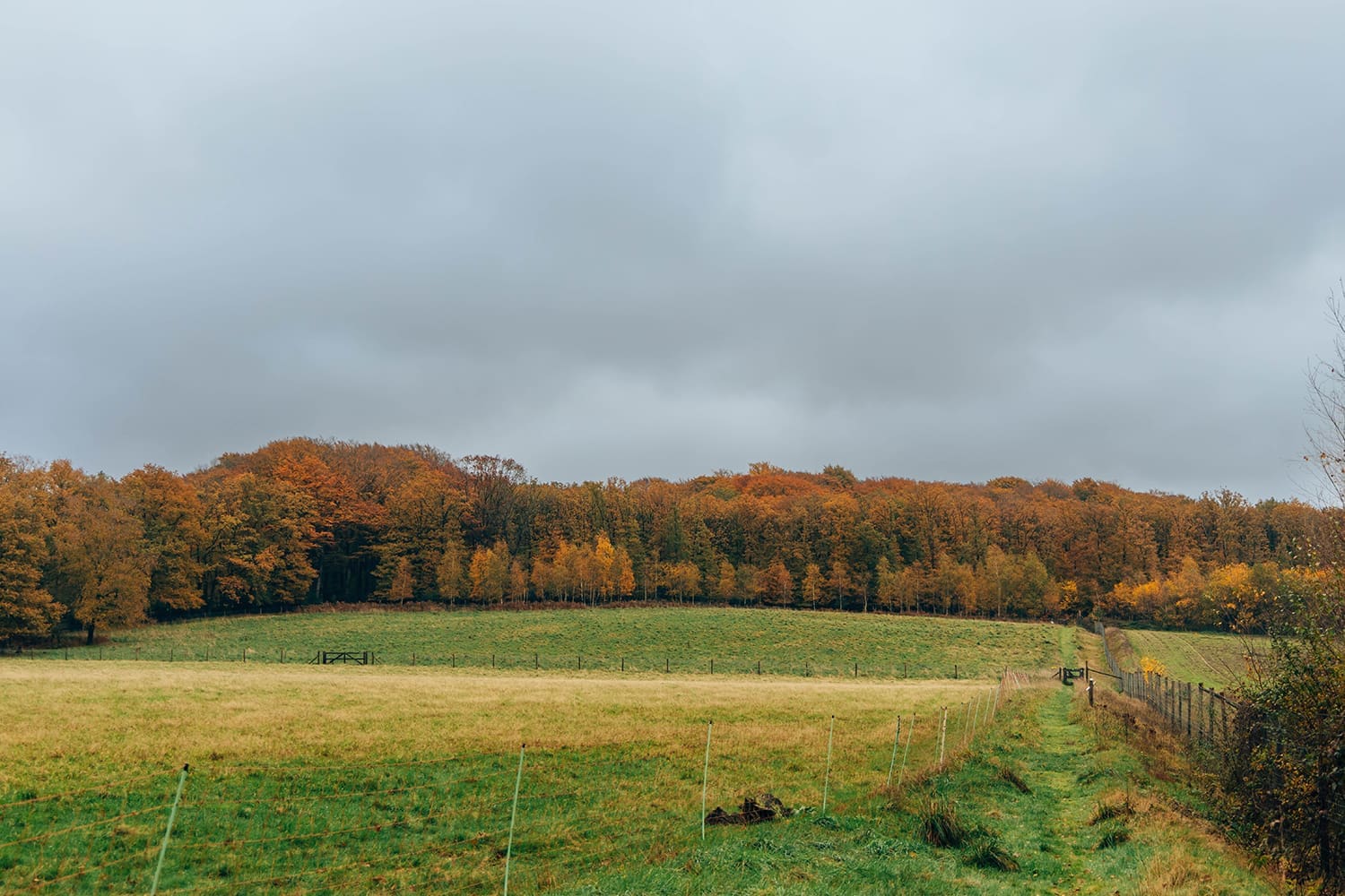 wandelroute Hoog Buurlo