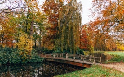 Wandelen langs de highlights van Baarn