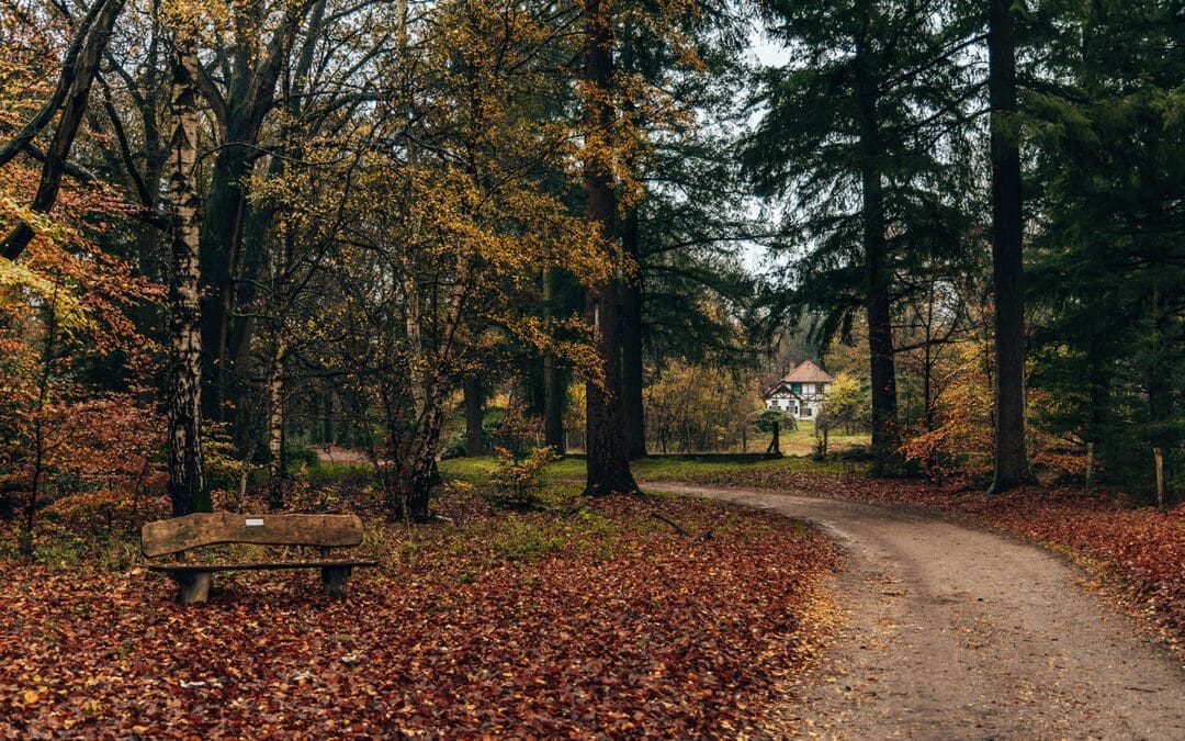 netwerkwandeling sprengenberg