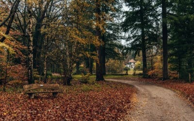 Oranje en gele netwerkwandeling Sprengenberg