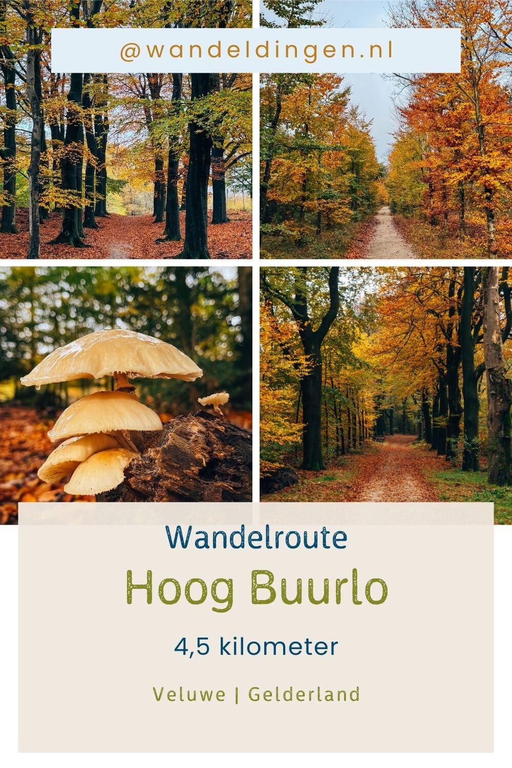 wandelroute Hoog Buurlo