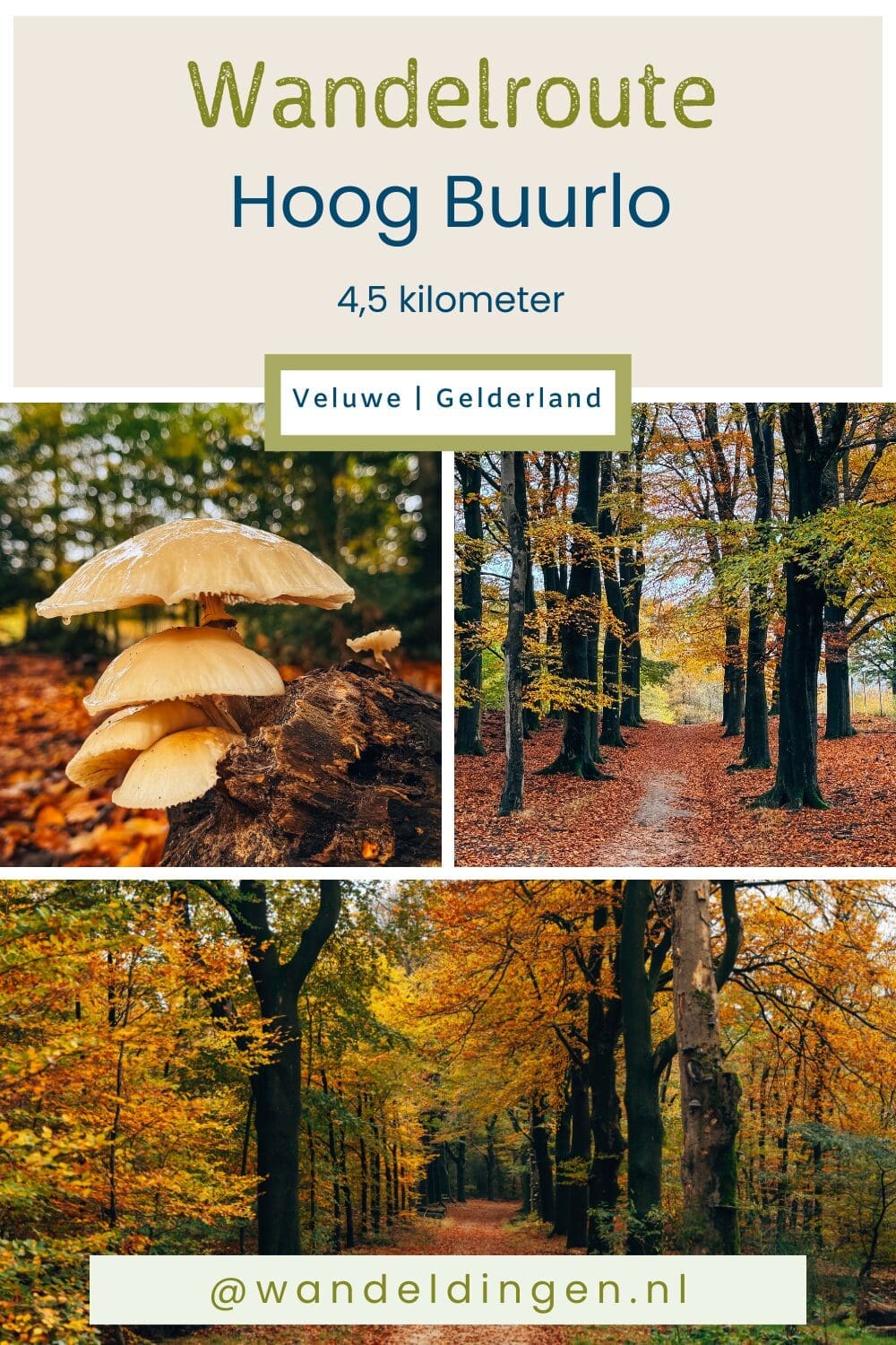 wandelroute Hoog Buurlo