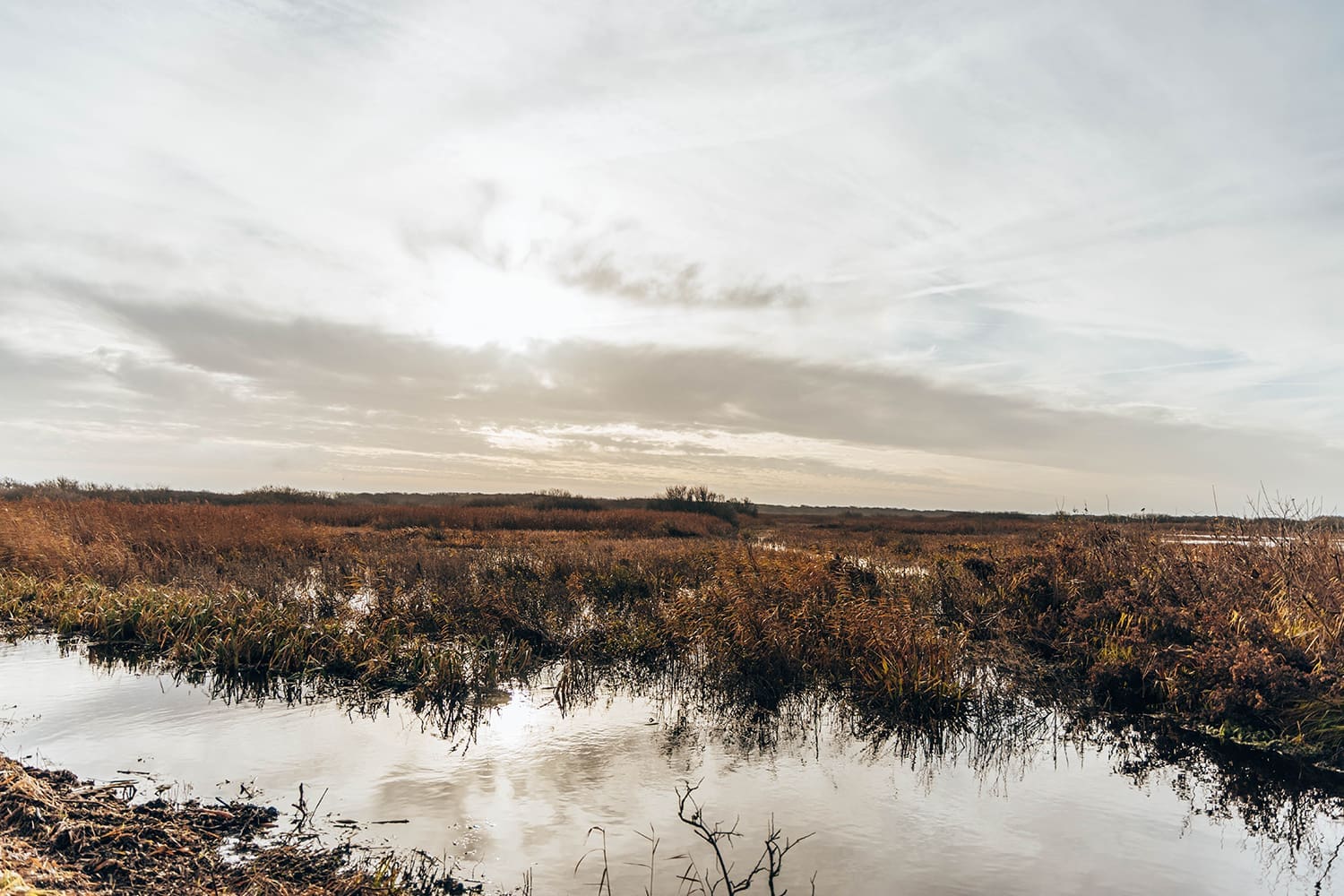gele wandelroute Zwanenwater