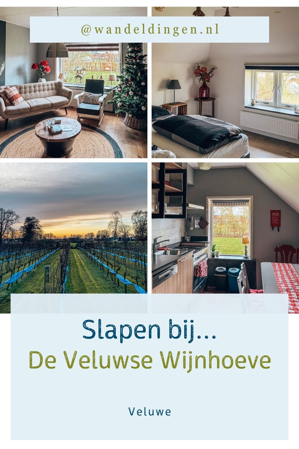 veluwse wijnhoeve