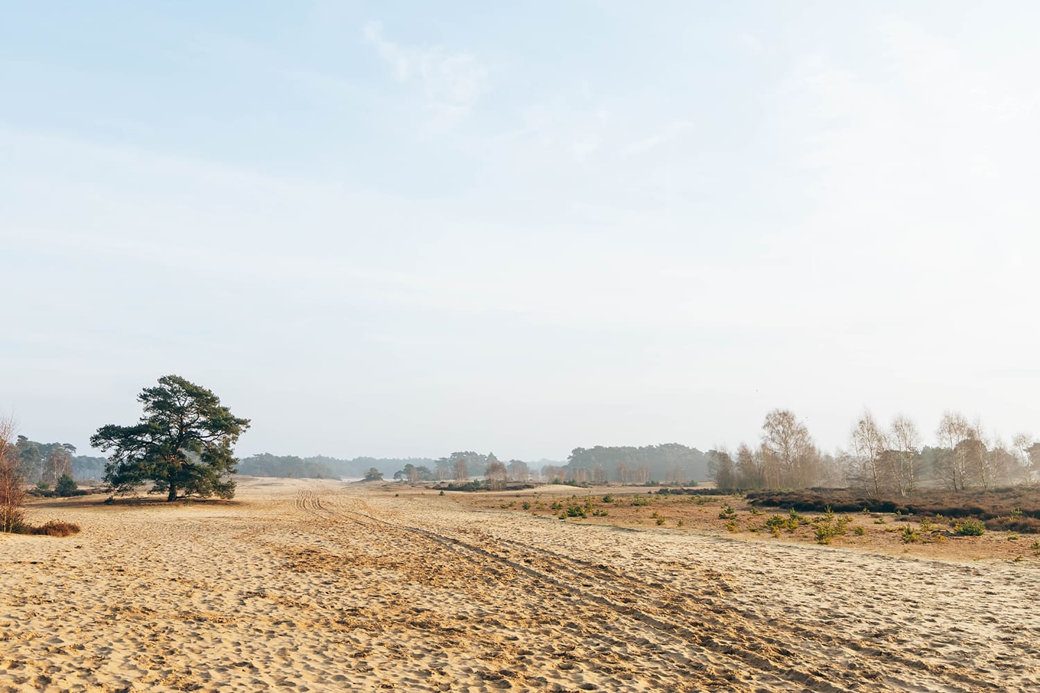 Komootroute Wekeromse Zand
