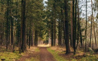 Komootroute Het Oostermaet