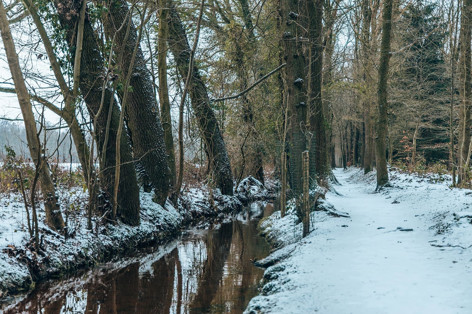 netwerkwandeling staverden 