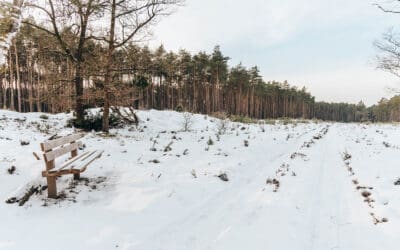 Komootroute Landgoed Stakenberg 