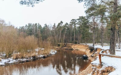 Wandelroute Lutterzand  Florilympha Truus Wijnen 