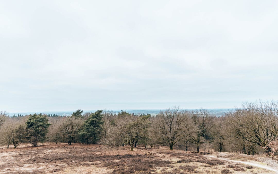 Trage Tocht Hettenheuvel 