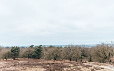 Trage Tocht Hettenheuvel 