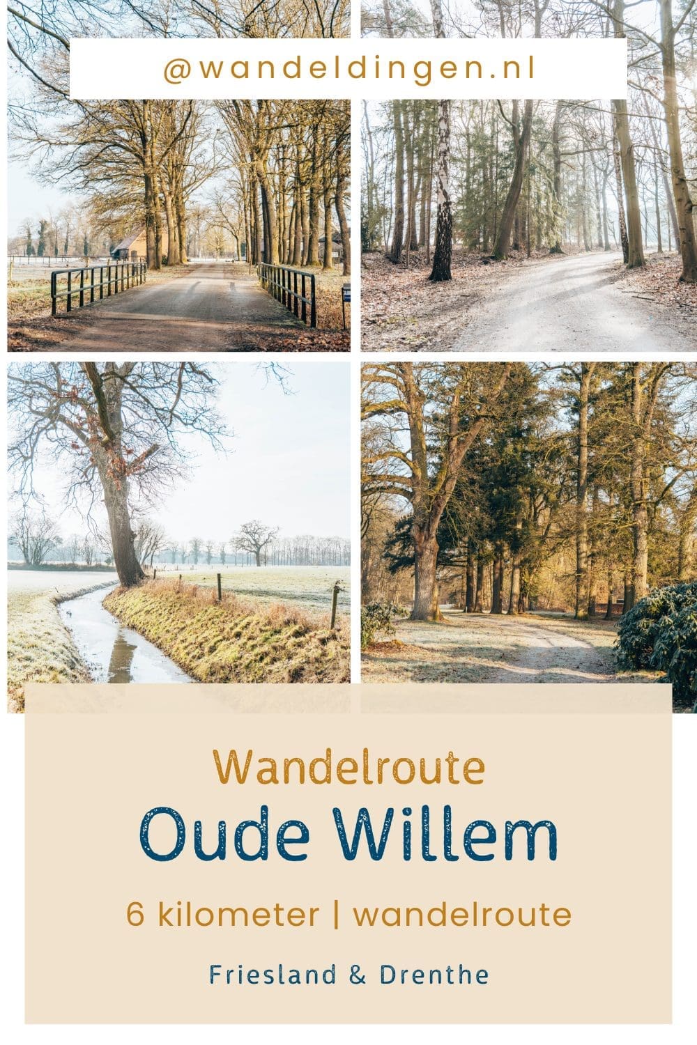 Oude willem