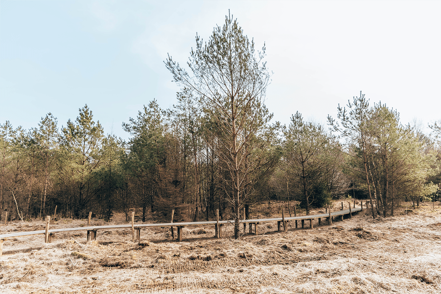 Plankenpad Spier