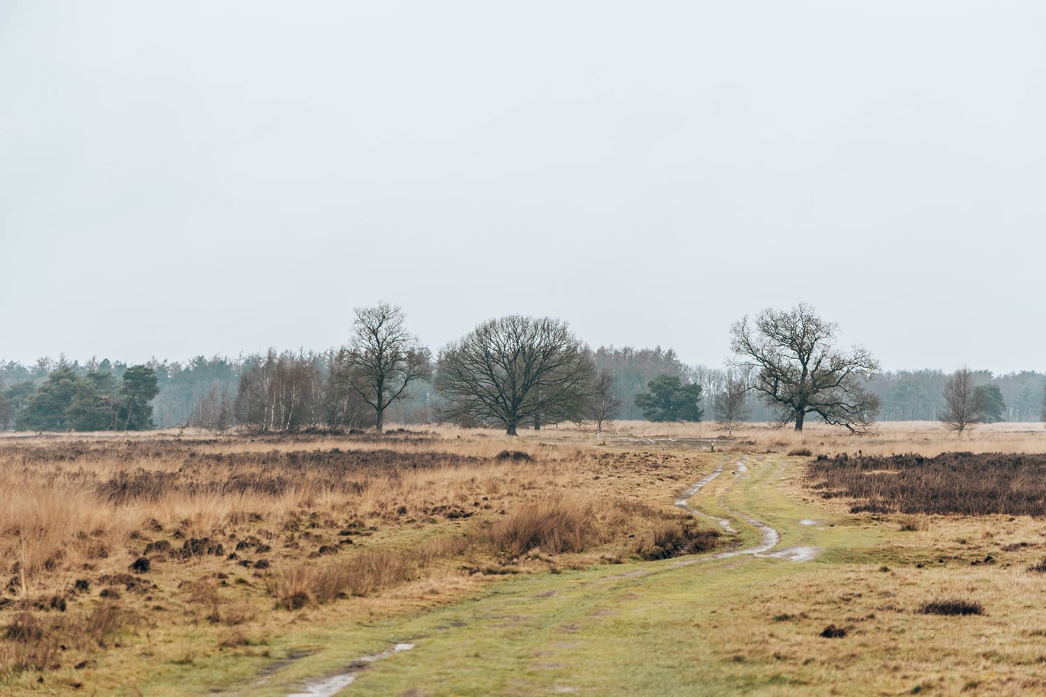 holtingerveld