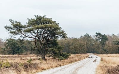 Komootroute Holtingerveld 