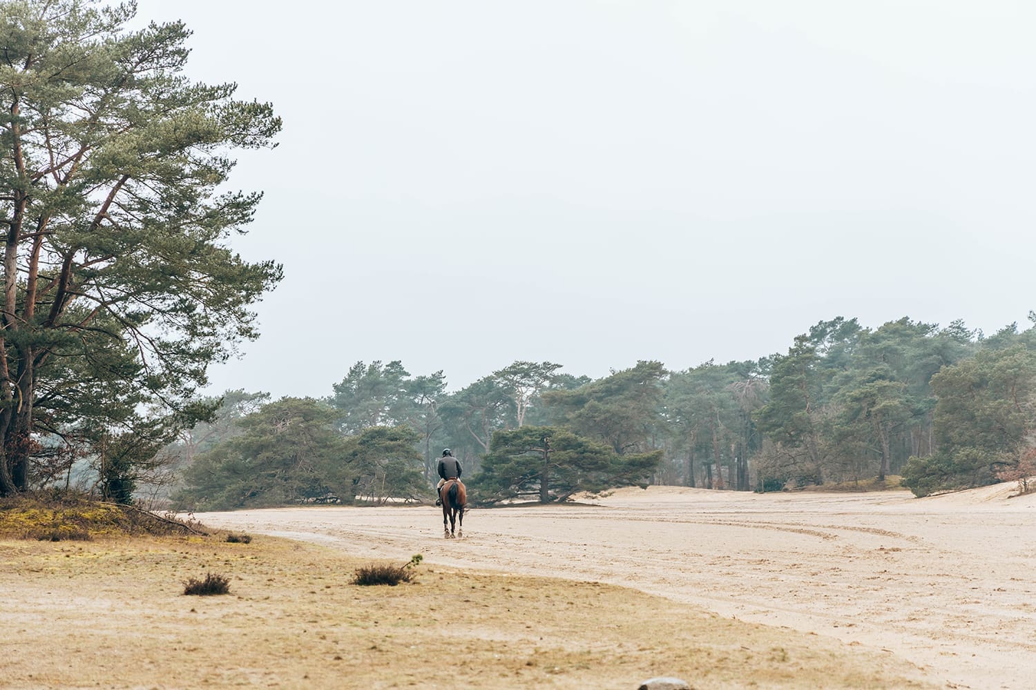 holtingerveld